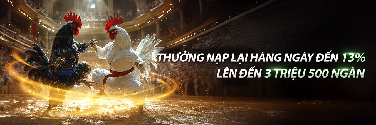 Sân vận động với ánh đèn rực rỡ và các cầu thủ đang thi đấu, thể hiện sự sôi động của cá cược thể thao pkwin app